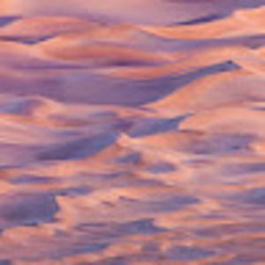 Meet your Posher, Liana